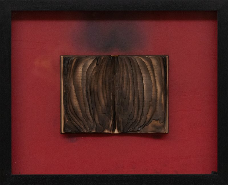 BERNARD AUBERTIN Livre brulè, 2010