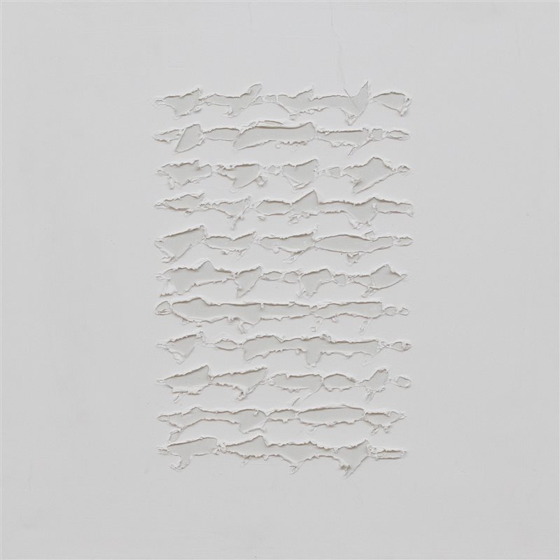 ALFREDO RAPETTI Scrittura bianca, 2011