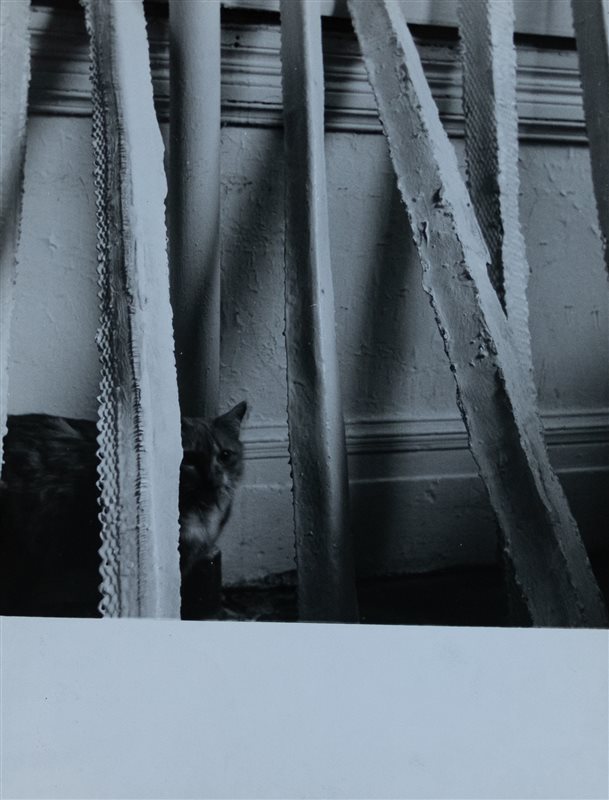 PIERO GILARDI I Corners di Alice Adams, New York 1968