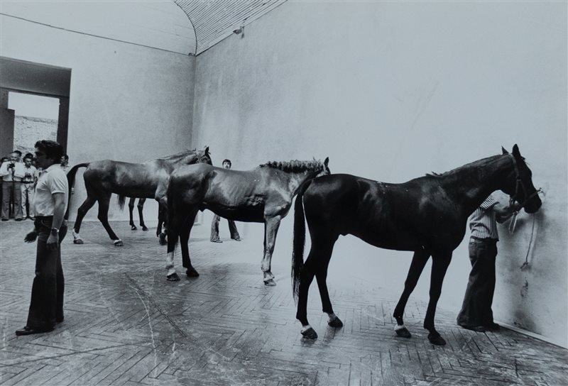 CAMERAPHOTO Kounellis, anni '60