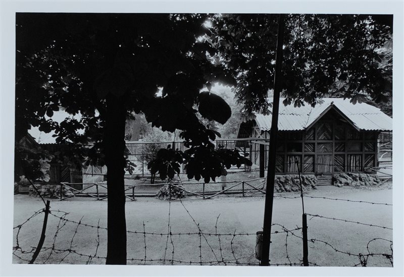 FRANCESCO RADINO Senza titolo, anni '80