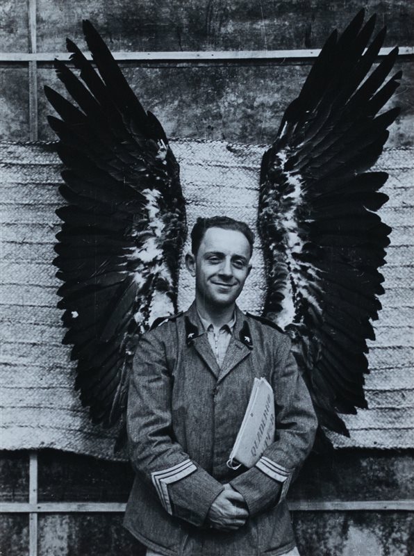 FEDERICO PATELLANI Grifone