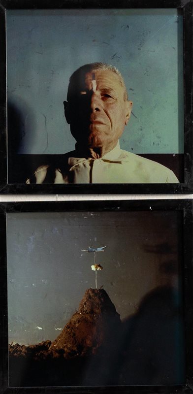 MICHELE ZAZA Ritratto Celeste, 1978