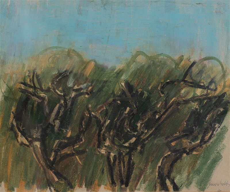 ENNIO MORLOTTI Vegetazione