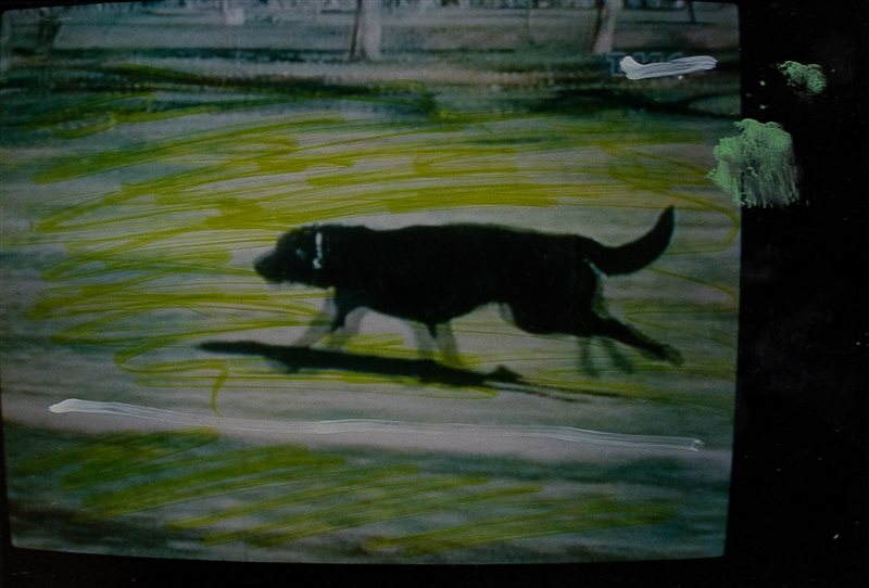 MARIO SCHIFANO Senza titolo, 1990-1997