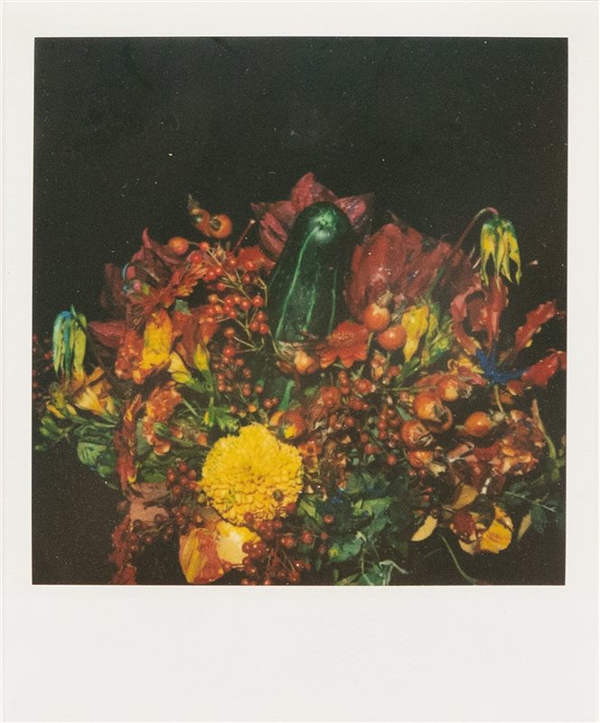 NOBUYOSHI ARAKI Senza titolo