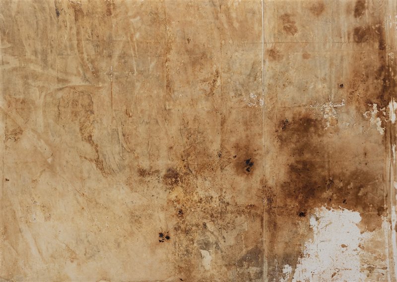 HERMANN NITSCH 109.Aktion, 2001