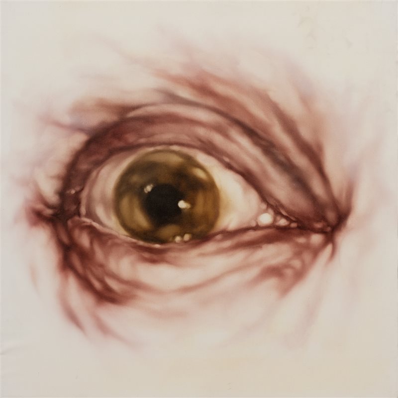 ALESSANDRO BELLUCCO Ipertrofie, 2003