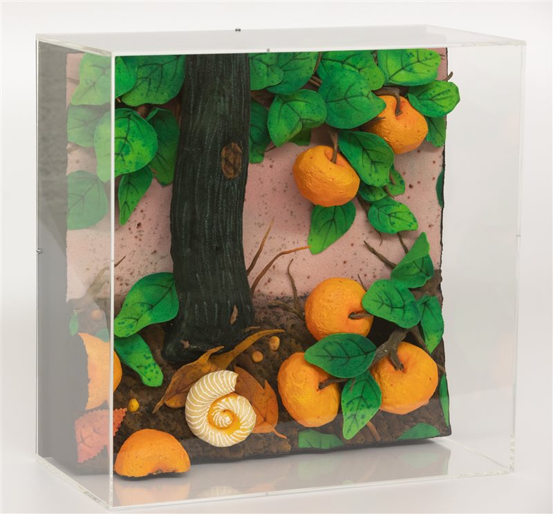 PIERO GILARDI Mandarini e chiocciola, 2008