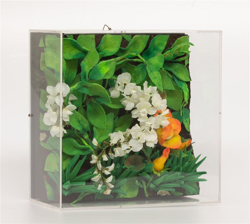 PIERO GILARDI Glicine bianco