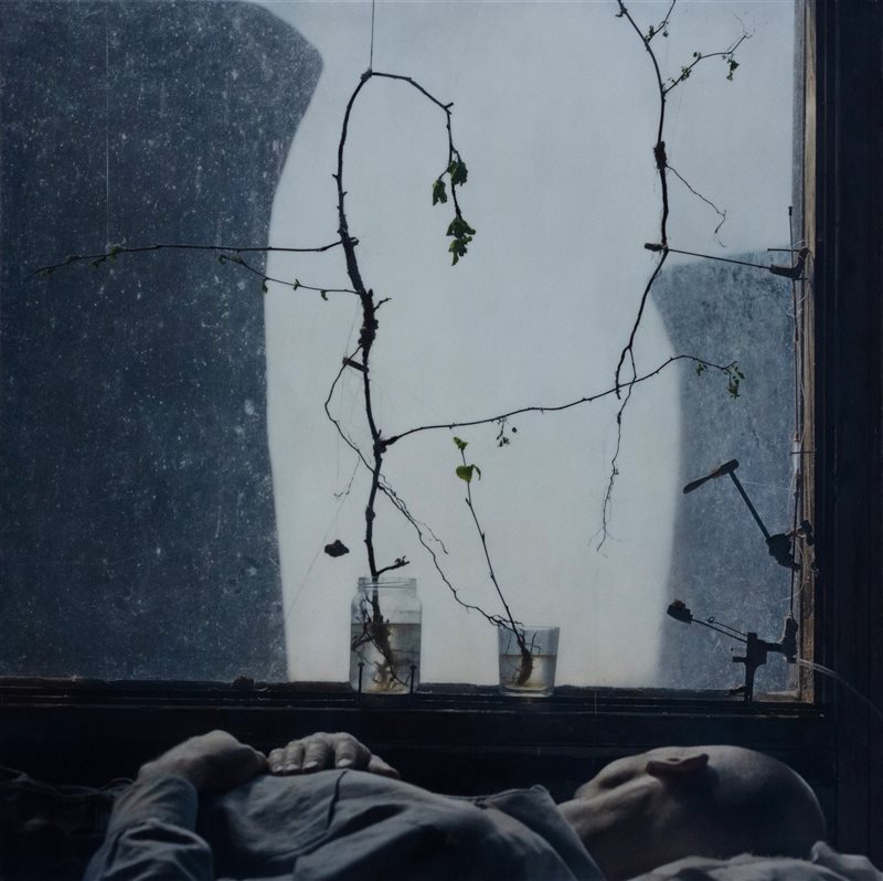 ROBERT & SHANA PARKEHARRISON Grey Dawn, 2006