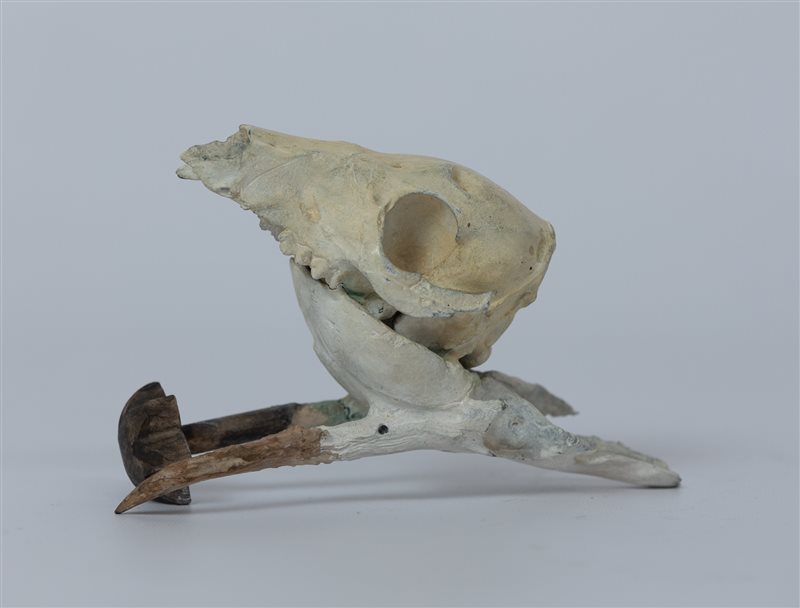 DANIEL SPOERRI Senza titolo