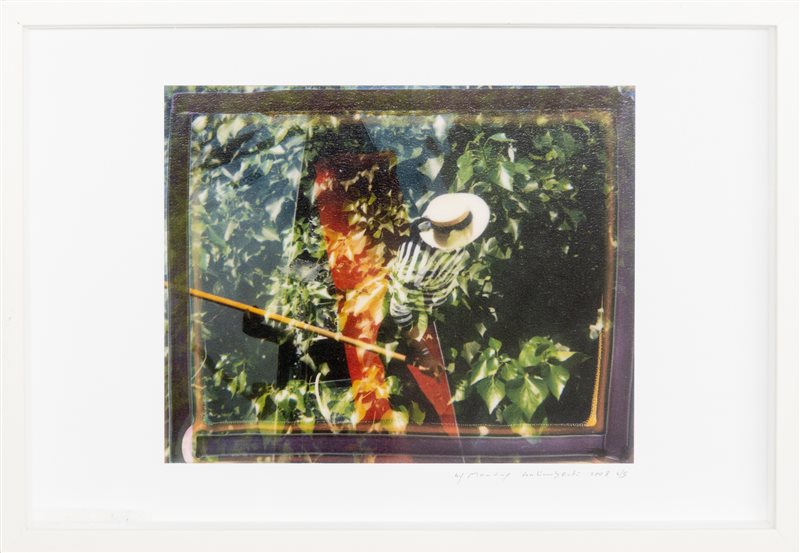 MAURIZIO GALIMBERTI Wilde, 2008