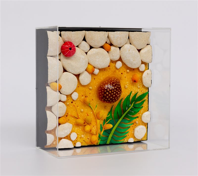 PIERO GILARDI Palma e datteri, 2009