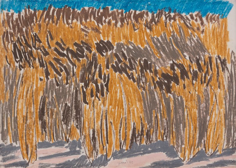 PIERO GIUNNI Grano maturo, 1982