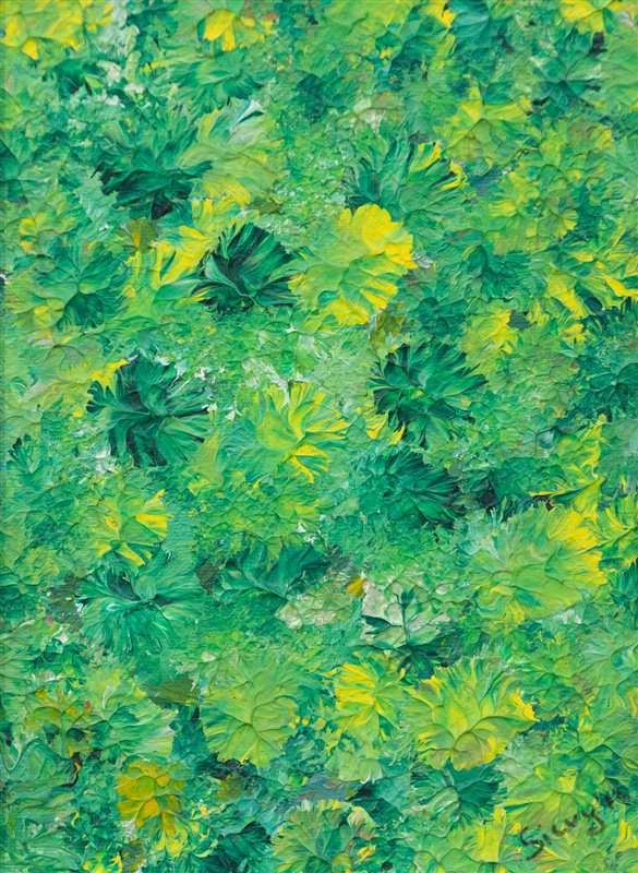 SILVY FAVERO Magnetismo terrestre