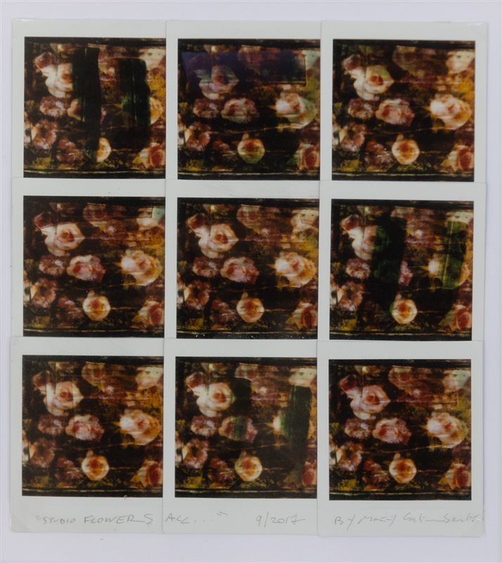 MAURIZIO GALIMBERTI Studio Flowers, 2017
