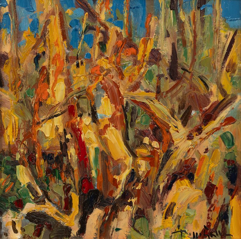 BEPPE GALLO Mais, 2012