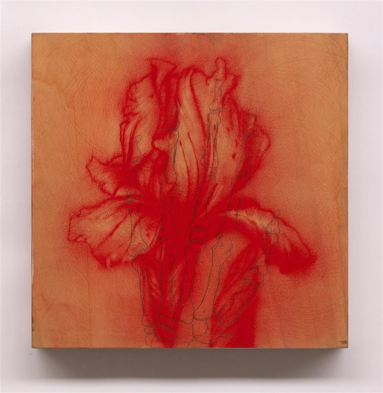 OMAR GALLIANI Nuovi fiori nuovi santi