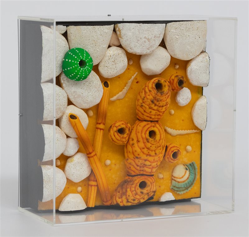 PIERO GILARDI Rizoma, 2009