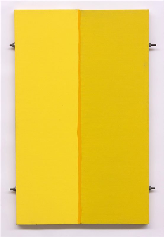 ENZO CACCIOLA N. 34 - 2015