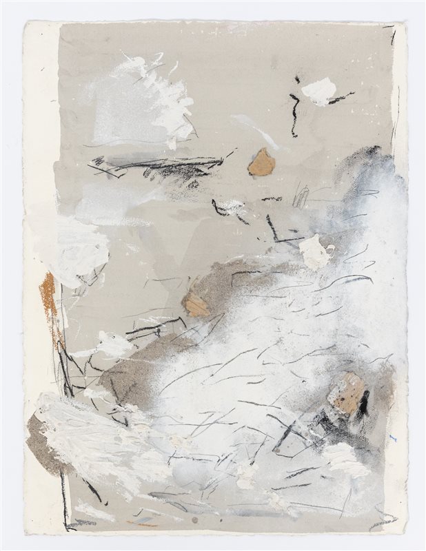MARCO GASTINI Nature 1, 1992
